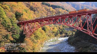 富山黒部峡谷鉄道の紅葉風景EOS R5  UHD 8K 顔声曲無  Autumn leaves in Kurobe gorge [upl. by Annaerb]