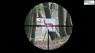 Meopta MeoStar R1r 312x56 RDG Reticle 4C  Reticle Subtensions [upl. by Odlaniger]