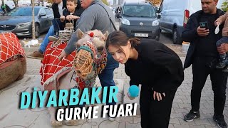 Diyarbakır 6 Mezopotamya Gurme Fuarı [upl. by Stulin]