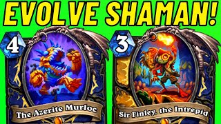 Excavate Evolve Shaman The Azerite Murloc Combo [upl. by Ainimreh]