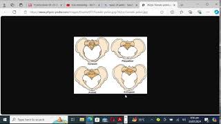 RAFIULLAH ABDOMEN AND PELVIS ANATOMY PART 2 rapid review by Dr QANDEEL [upl. by Rehpatsirhc]