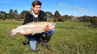 GIANT Trout in a TINY Pond  Land Based Stonkers at Yarrambat Lake [upl. by Iow14]