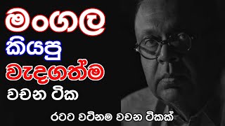 mangala samaraweera best speech  mangalas speech sinhala srilanka [upl. by Mattie765]