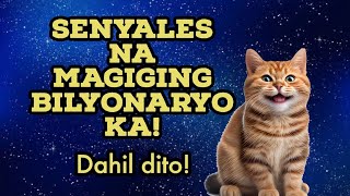 ⭐ Ang 16 na Dahilan Bakit Swerte ang Pusa sa Bahay [upl. by Reinhardt]