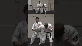 Naihanchi Sandan Oyo Bunkai naihanchi bunkai karate [upl. by Anissej]