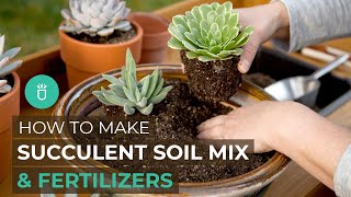 BEGINNER TIPS HOW TO MAKE SUCCULENT SOIL MIX amp NATURAL FERTILIZERS [upl. by Nidia]