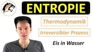 ENTROPIE Thermodynamik  Chemie Tutorial [upl. by Duwad]