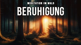 Meditation im Wald 🌲 Beruhigung [upl. by Damita]