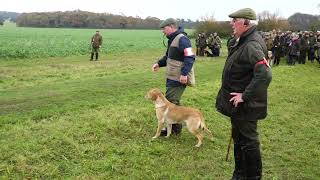 Watch FTCh WILLOWRISE STAR SPINNER runs 2022 Retriever Championship at The Holkham Estate Norfolk [upl. by Vala]