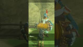 The Song of a Bird on the Mountainside in Zelda BOTW  Zelda Breath of the Wild Zelda botw shorts [upl. by Dawkins]