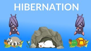 Hibernation of Animals  Why do Animals Hibernate  Hibernating Animals for kids [upl. by Ronna]