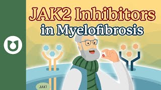 Understanding JAK2 Inhibitors How They Treat Myelofibrosis myelofibrosis [upl. by Ahsinoj]