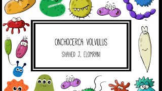 Onchocerca Volvulus [upl. by Niai422]