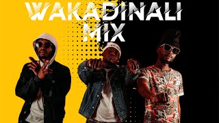 BEST OF WAKADINALI VIDEO MIX 2024 BY DJ CIFIC FT HIZI STANCESIKUTAMBUITOP SCORERMCMCAdrill [upl. by Baptlsta]