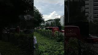 traffic today shortvideo [upl. by Chara936]