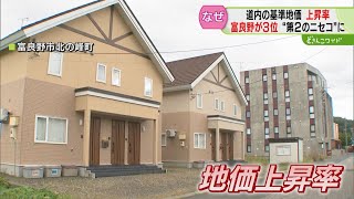 ３億円超えの高級別荘も “第２のニセコ”富良野市の地価上昇 高まるインバウンド需要 北海道 [upl. by Monk]