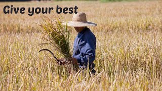 Harvest  Give Your Best  Tunbridge Wells Baptist Church [upl. by Curzon]