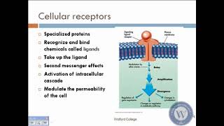 Lect 2 Cell Physiology [upl. by Rawdon]