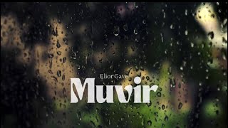 Elior Gave  Muvir  2031 Official Audio [upl. by Giffy808]