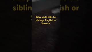 baby Yoda tells his siblings English or Spanish babyyoda funny englishorspanish [upl. by Wheelwright]