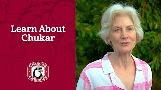 Learn About Chukar Cherries [upl. by Philly]