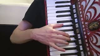 Alestorm  Pirate’s Scorn Accordion cover [upl. by Ringe]