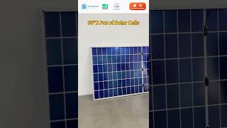 Leapton Energy New Product  620w Bifacial Solar Module solarenergy solarpanel renewableenergy [upl. by Leoine]