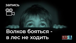 Александр Литвин волков бояться  в лес не ходить [upl. by Serle751]