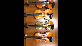 Can you feel the love tonight  Violin Cover  The lion king [upl. by Ayerdna]