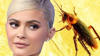 Kylie Jenner Reveals Cockroach On Dream Kardashian’s Birthday Cake  Hollywoodlife [upl. by Warder]