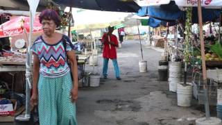 Sainte Lucie Castries Marché local  Saint Lucia Castries Local market [upl. by Adnalahs]