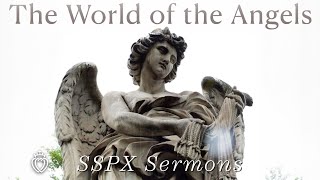 The World of the Angels  SSPX Sermons [upl. by Romaine]