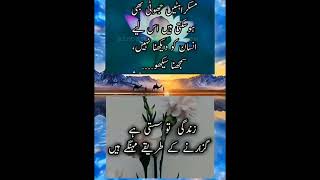 Muskuraty jhuti Golden Words In Urdu Urdu Quotes Islamic Information [upl. by Rockie]