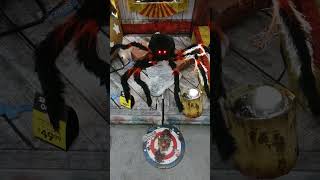 red Jumping Spider Animatronic Demo 2024 spirithalloweenanimatronics spirithalloween2024 [upl. by Shirleen]