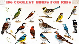 100 Birds Names In English With Pictures  Birds Vocabulary  Birds Names educationalvideos [upl. by Zap]