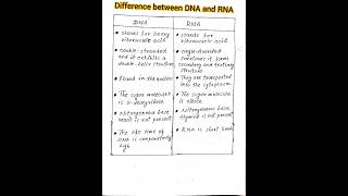 Difference between DNA and RNA [upl. by Schlenger]