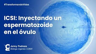 ¿Ya conoces la Fertilización In Vitro con ICSI  Ingenes [upl. by Atinahs473]