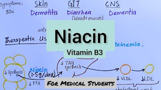 Niacin  Active Forms Functions Deficiency Manifestations Therapeutic Uses [upl. by Engdahl]