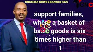 President Nelson Chamisa national address on workers Day saluting all the working man and woman [upl. by Witt]