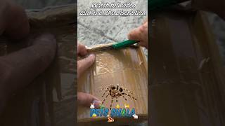 Unboxing chaco golden knee Tarantula sling india shorts youtubeshorts petsshala [upl. by Kee]