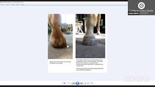 Part 2 The Anatomically Correct Trim Hoof Research Course and Cooperative [upl. by Garrity824]