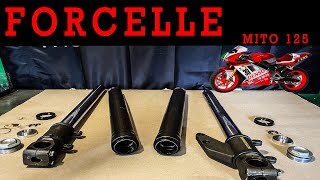 TUTORIAL REVISIONE FORCELLE cagiva mito evo 125  restauriamola [upl. by Byrne]