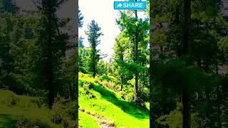 Murree beautiful place murree vlog [upl. by Enimrej]