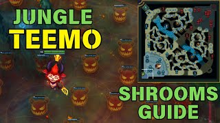 tts Teemo Shrooms Guide Challenger Climb Ask how to jump scare me live in chat scareme [upl. by Jobi]