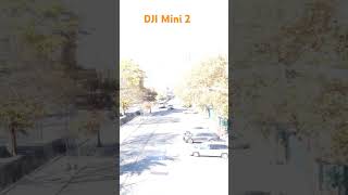 DJI mini 2 Drone Quick flight [upl. by Darline]