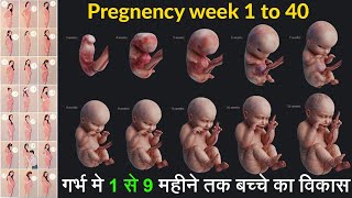 1 to 9 months baby development in hindi1 to 9 months pregnant baby size in hindi1 to 9 months baby [upl. by Chapland]