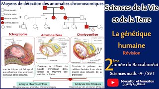 La génétique humaine  2ème Bac SVT2ème Bac Sc MathA [upl. by Roos605]