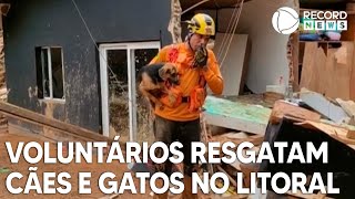 Voluntários resgatam cães e gatos de escombros em São Sebastião [upl. by Virgilia]