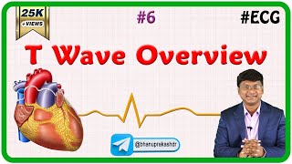 EKGECG Interpretation Basics Nursing NCLEX  QRS Complex P Wave T Wave PR Interval [upl. by Hoxsie]