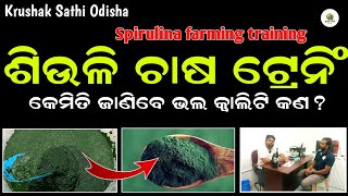 ଶିଉଳି ଚାଷ Spirulina farming training in odisha  Spirulina farming in odisha  Krushak sathi odisha [upl. by Arreic]